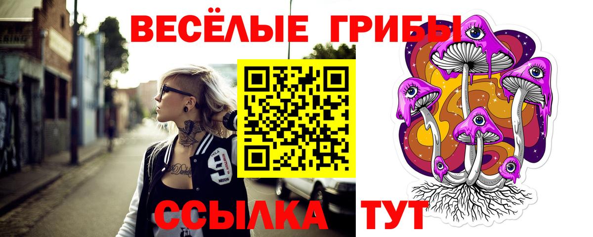 Псилоцибиновые грибы Cubensis Майкоп