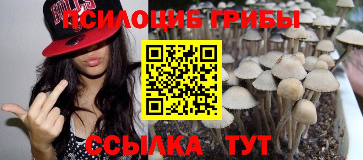 магазин продажи   Псилоцибиновые грибы Psilocybine cubensis  Вход с VPN  Майкоп 